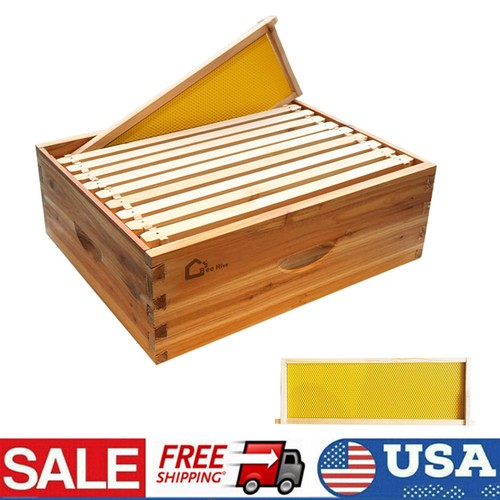 Frame beehive box - 10,